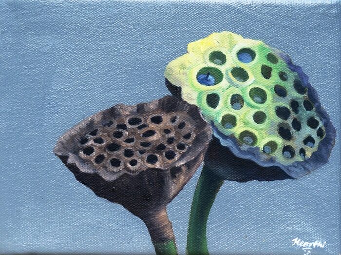 Two Seed Pods, Oil and acrylic on canvas
