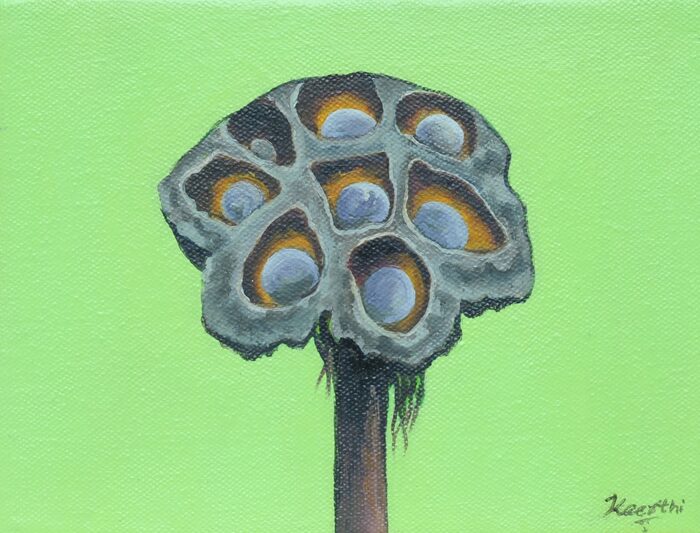 Dried Pod on Green, Oil and acrylic on canvas