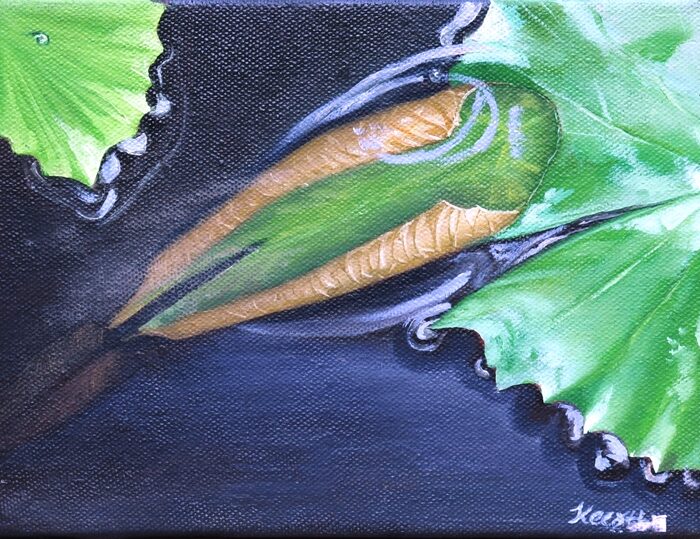 Curling Leaf, Furled