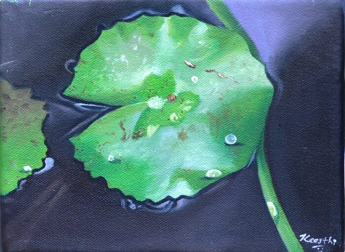 Floating Pad, Dark Water